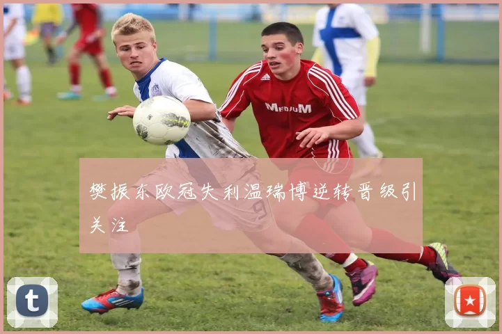 樊振东欧冠失利温瑞博逆转晋级引关注