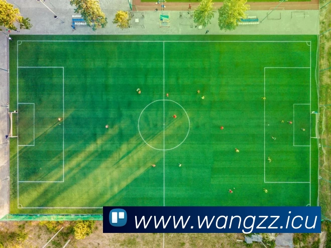 九游(NINE GAME)体育·官方网站 - 中国智慧体育科技领导者服务体系