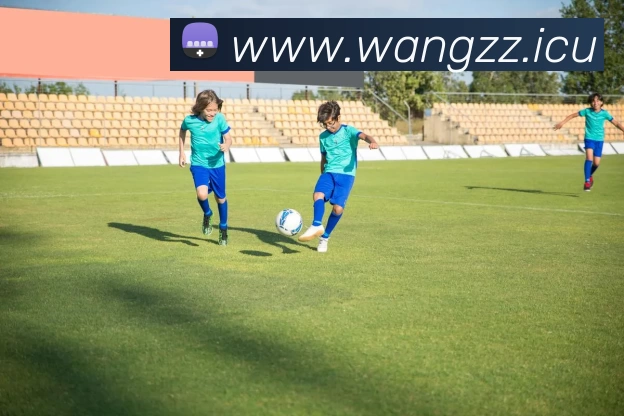 多媒体互动体验